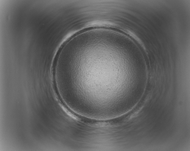 X0000055991037200508221251