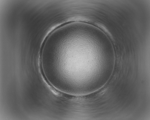 X0000055991040200508221251