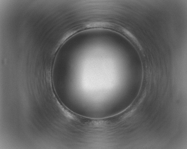 X0000055991041200508221251