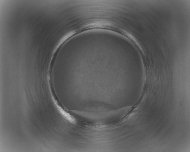 X0000055991042200508221251