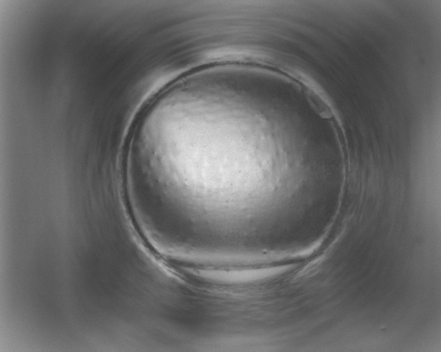 X0000055991045200508221251