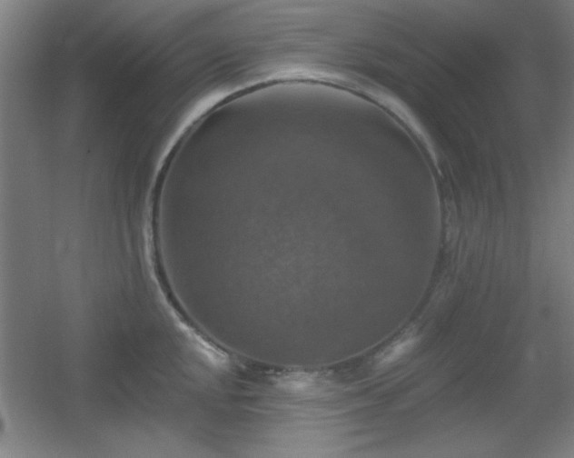 X0000055991048200508221251