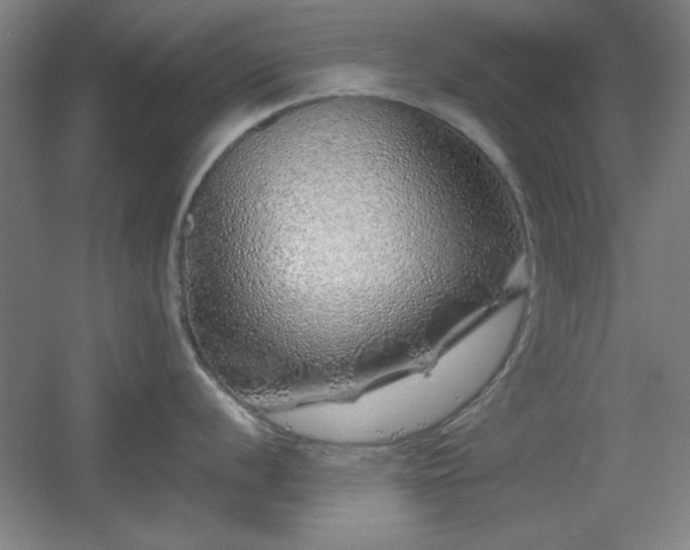 X0000055991056200508221251