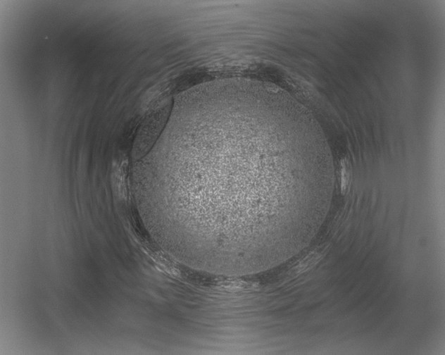 X0000055991059200508221251