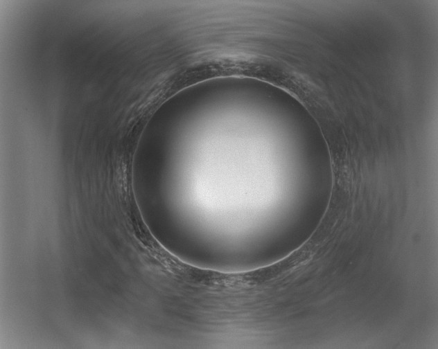 X0000055991061200508221251