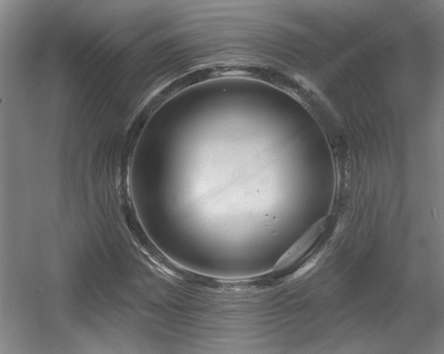 X0000055991065200508221251