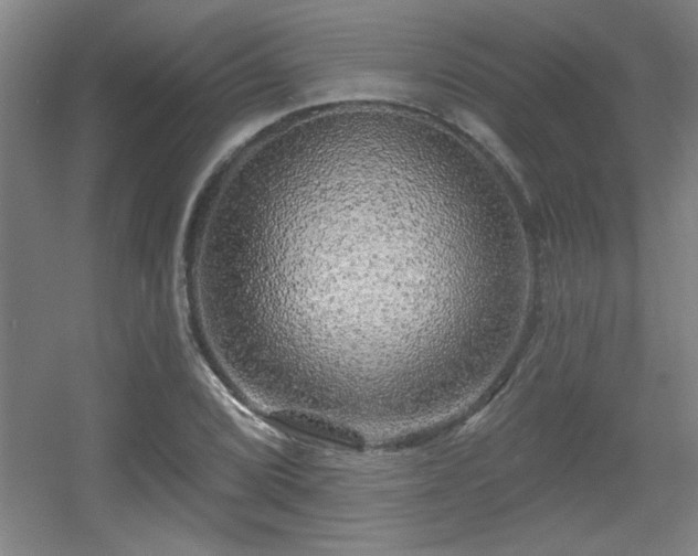 X0000055991072200508221250