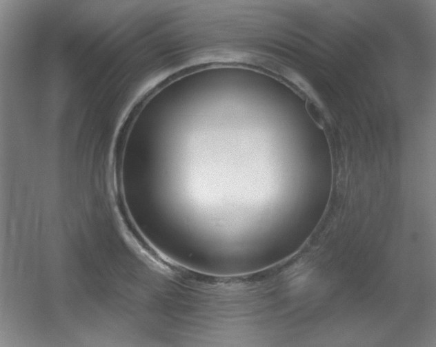 X0000055991080200508221250