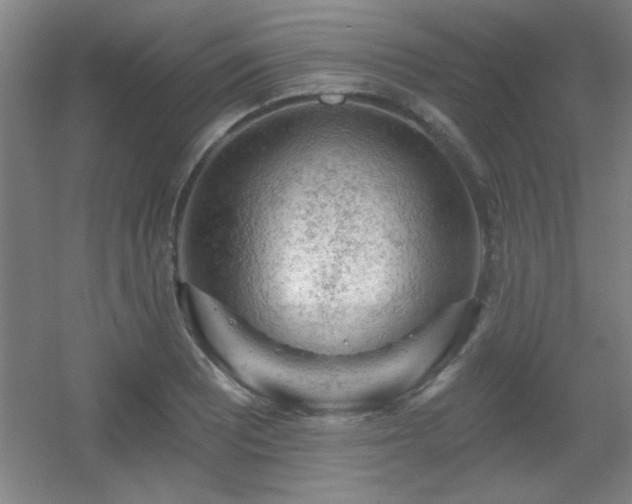 X0000055991081200508221250
