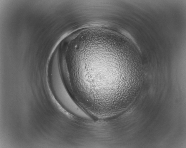 X0000055991091200508221250