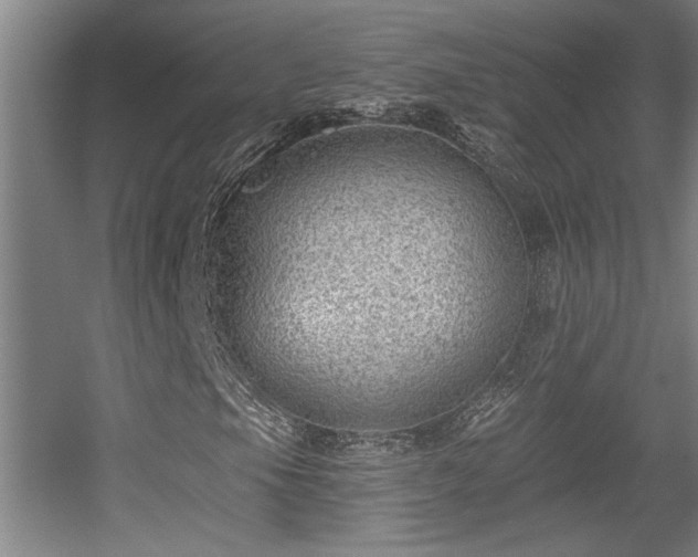 X0000055991105200508221249