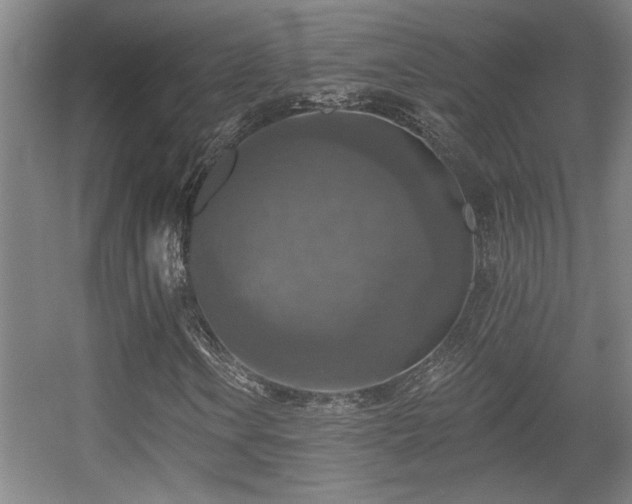 X0000055991106200508221249
