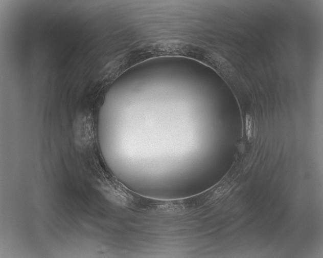 X0000055991107200508221249