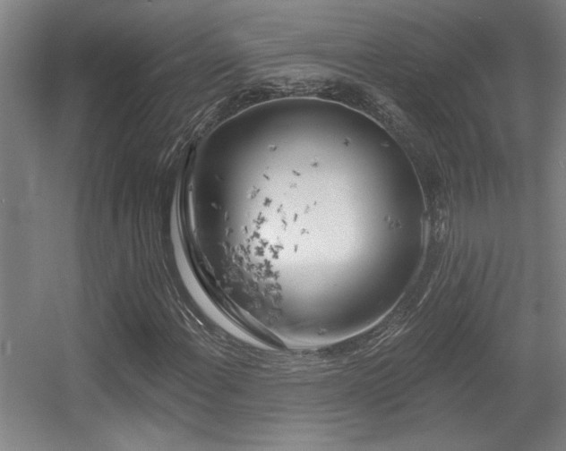 X0000055991108200508221249