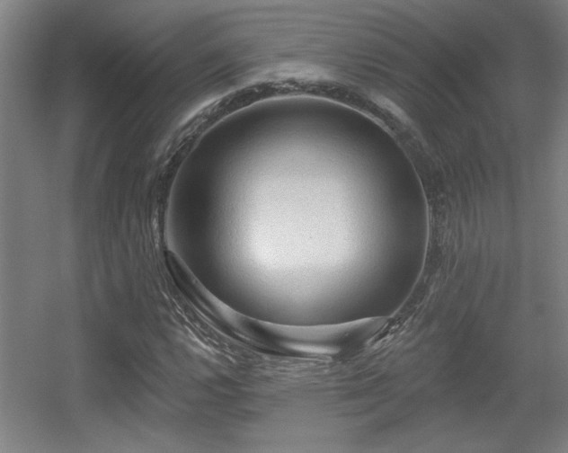 X0000055991112200508221249