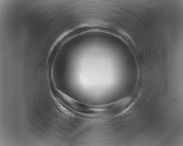 X0000055991114200508221249