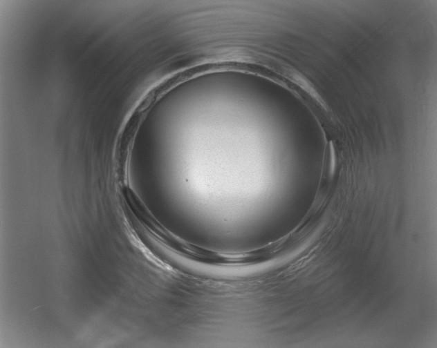 X0000055991116200508221249