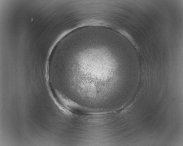 X0000055991128200508221249