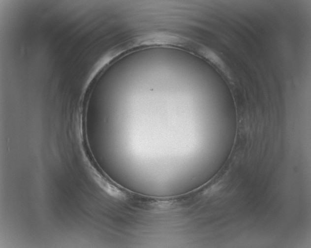 X0000055991130200508221249