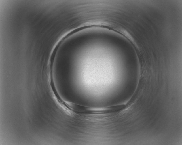 X0000055991132200508221250