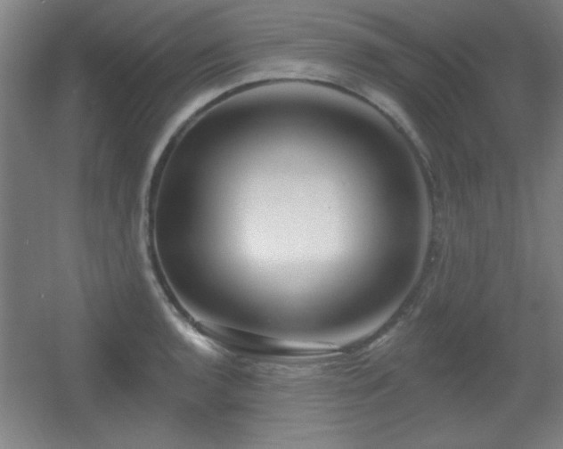 X0000055991136200508221250
