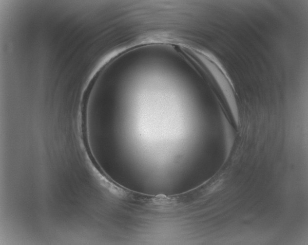 X0000055991147200508221250