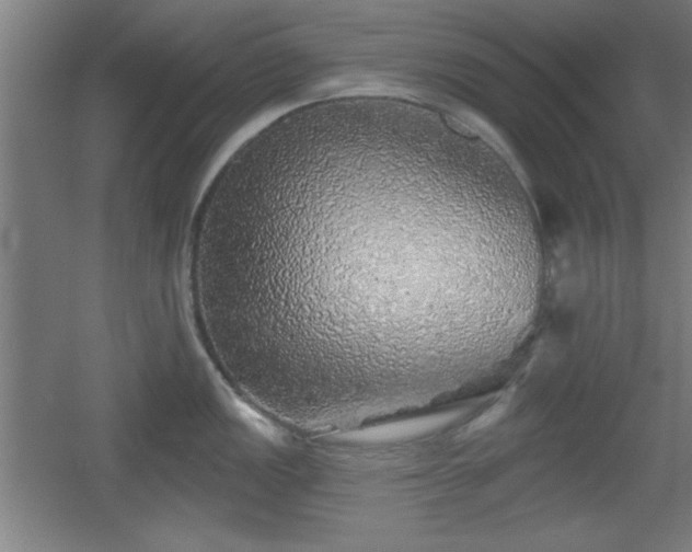 X0000055991149200508221250