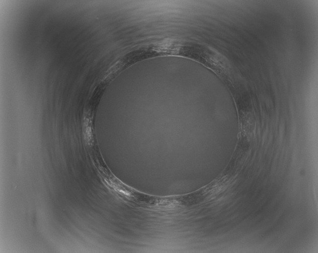 X0000055991154200508221249