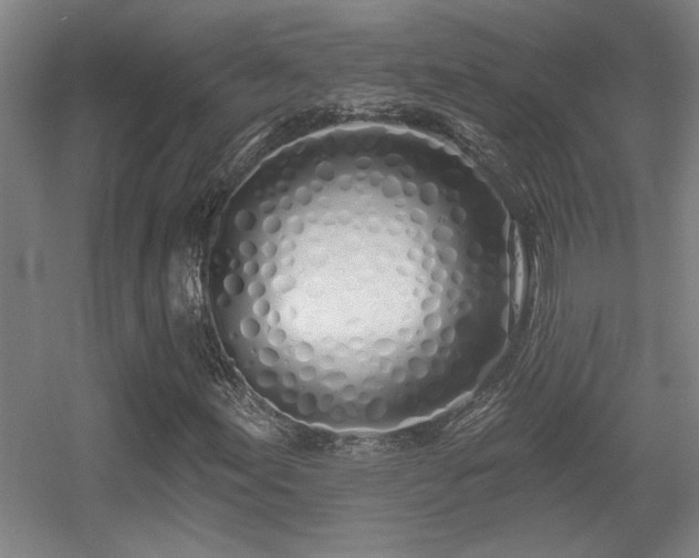 X0000055991155200508221249