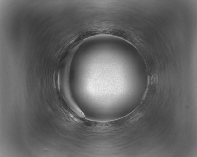 X0000055991156200508221249