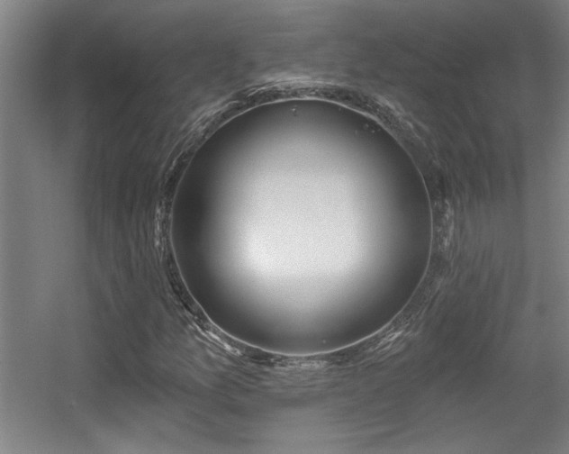 X0000055991157200508221249