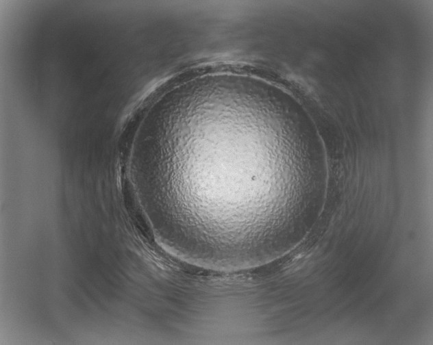 X0000055991159200508221249