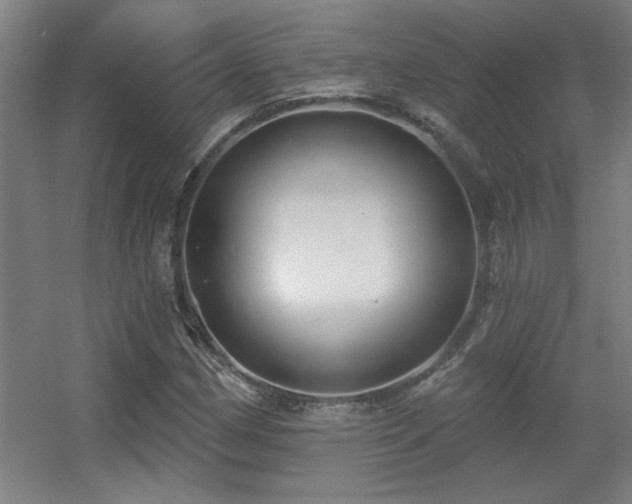 X0000055991162200508221249