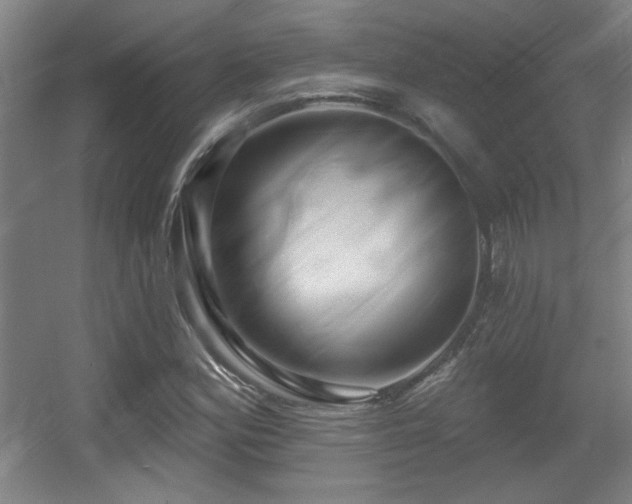 X0000055991164200508221249