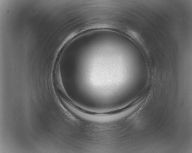 X0000055991181200508221249