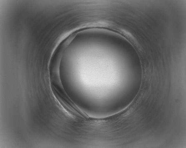 X0000055991184200508221249