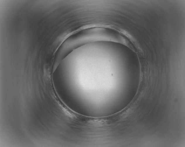 X0000055991185200508221248