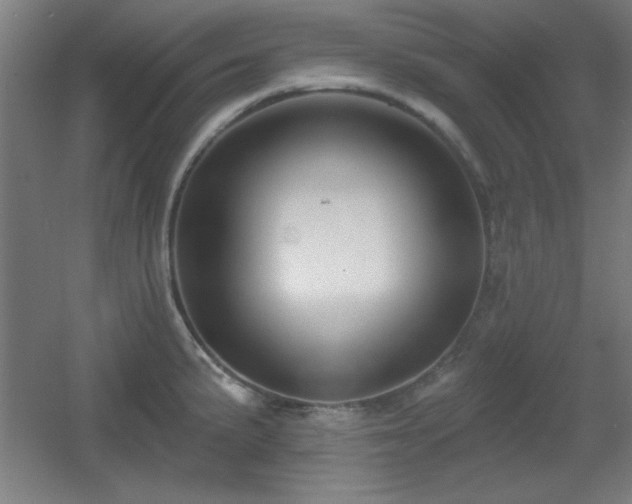 X0000055991191200508221248