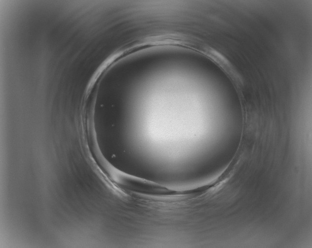 X0000055991196200508221248