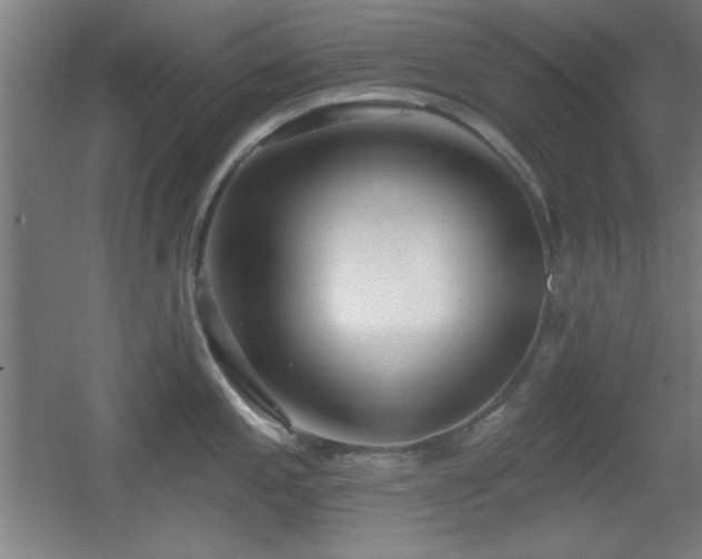 X0000055991197200508221248