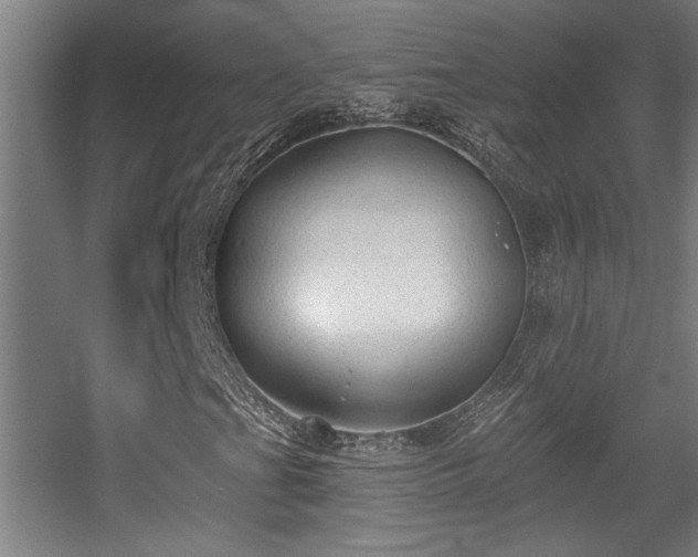 X0000055991201200508221247