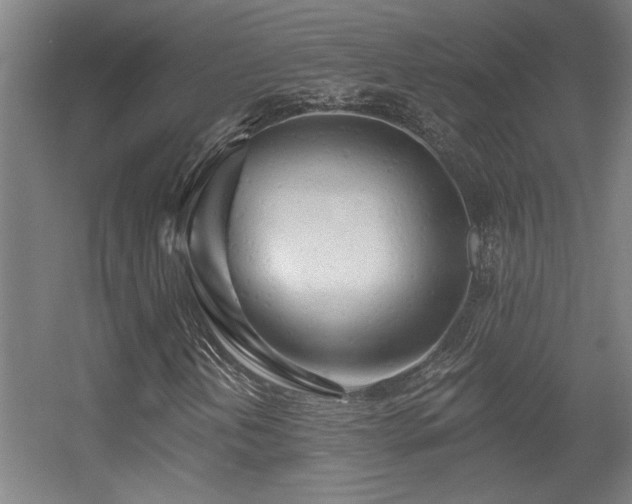 X0000055991202200508221247