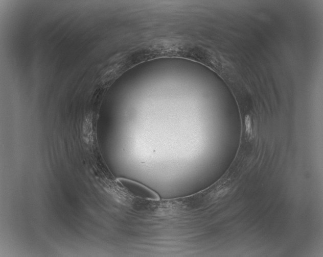 X0000055991203200508221247