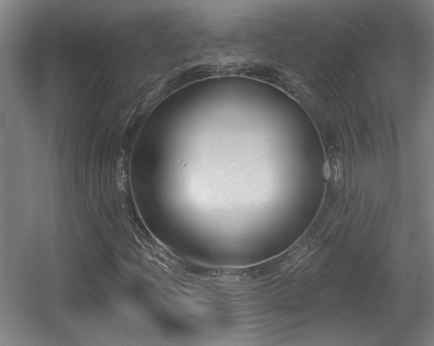 X0000055991204200508221247