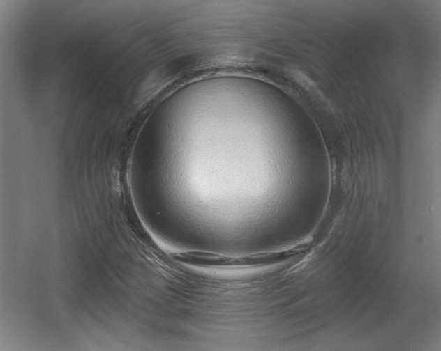 X0000055991209200508221248