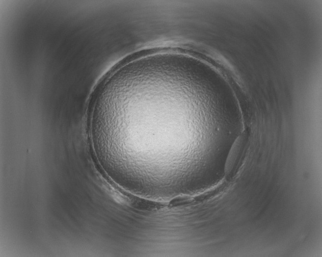 X0000055991216200508221248