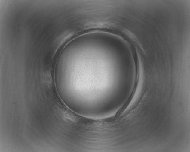 X0000055991218200508221248