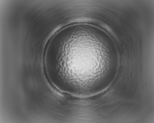 X0000055991229200508221248