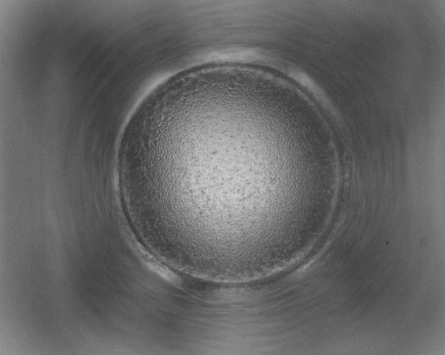 X0000055991232200508221248