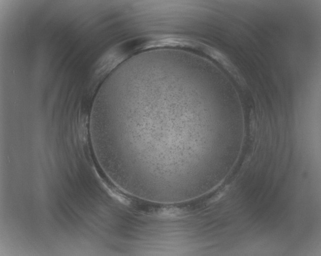 X0000055991233200508221248